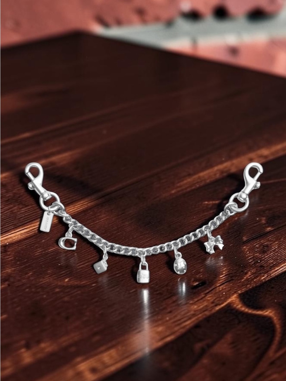 Coach Silver Charm Chain with Mixed Mini Charms NWT